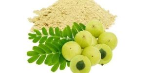 Amla Powder