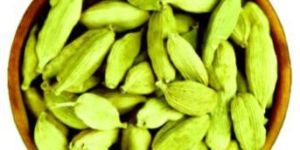 Cardamom Green
