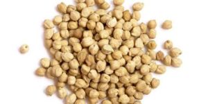 CHECK PEA Pulses