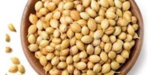 Corriander Seeds