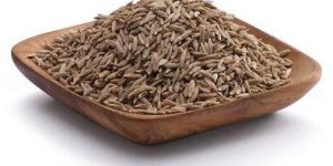 CUMIN - EUROPEAN seeds