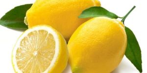 LEMONS Fruits