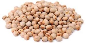 Pigeon Pea Pulses
