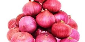 Onion