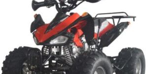 125Cc Viper All Terrain Rear Bike Atv