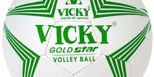 VICKY GOLD STAR VOLLEY BALL VOLLEYBALL - WHITE-GREEN