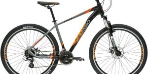 Cambio Roger Bicycle