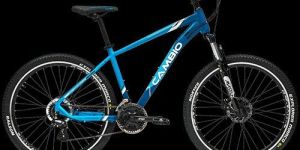 Roger 29t Sports Cycle