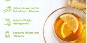 Tulsi Lemon Ginger Green Tea - 25 Tea Bags