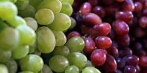 Grapes