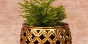 Decorative Flower Pot for Indoor And Outdoor