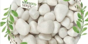 Decor Pebbles White Big Polished Pebble