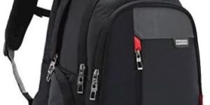 Harissons Sirius Office Laptop Backpack