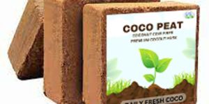 Kitchen Terrace Gardening Cocopeat