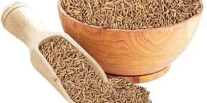 Spices Cumin (Jeera)