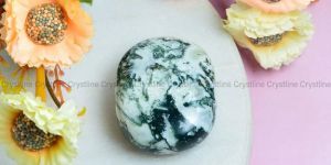 Moss Agate Palmstone