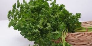 Parsley Leaves