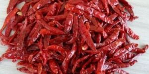 Dry Red Chilli
