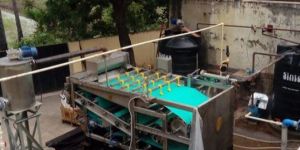 Belt Filter Press (L Series)