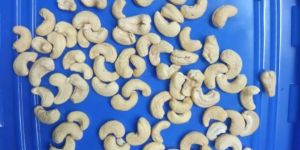 W240 Cashew Nuts