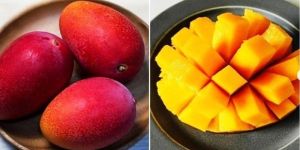 Red Miyazaki Mango
