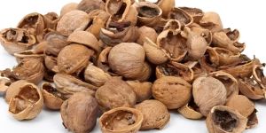 Walnut Shells