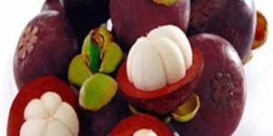 Mangosteen Fruit Plant
