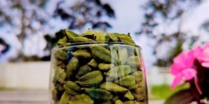 Green Cardamom