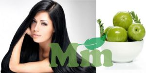Marwadi Mehandi Amla Powder without Seed