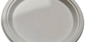 10 Inch Bagasse Plate