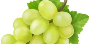 a Grade Green Grapes
