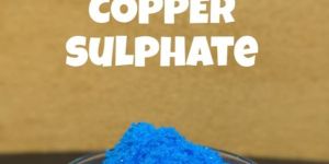Copper Sulphate Pentahydrate Crystal