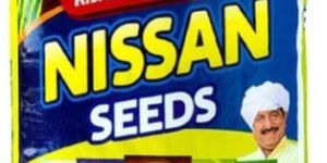 25kg Seeds Packaging BOPP Laminated Woven Bag