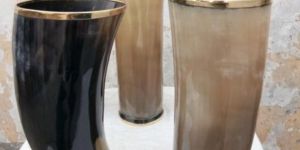 Horn Glass with Brass Molding
