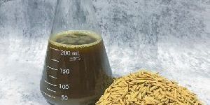 Crude Rice Bran Oil
