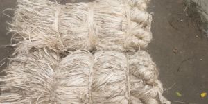 Jute Raw Material