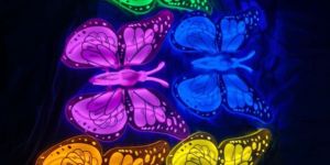 Butterfly Decoration