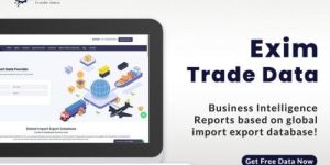 Global Import Export Data Service