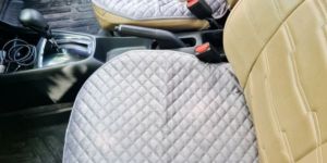 Car Seat Protector