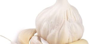 Fresh Riyawan Garlic