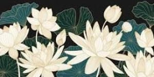Lotus Oil