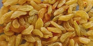 Dried Raisin