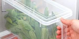 Plastic Fridge Storage Container