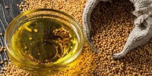 Hot Pressed Yellow Mustard Oil