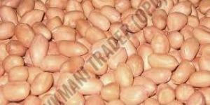 Java Peanut Seeds