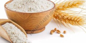 Refined Wheat Flour