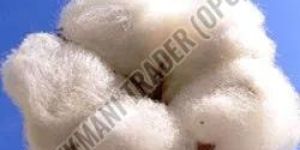 Virgin Raw Cotton