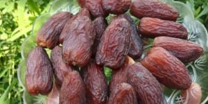 Medjool Premium Dates