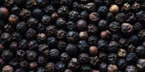 Black Pepper Seed