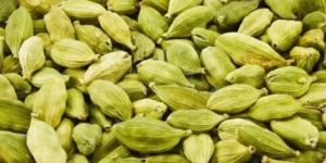 Cardamom.